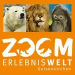 Gemuetliche Stilvolle 1 Raumwohnung Apartman Gelsenkirchen