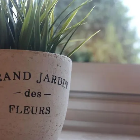 Apartament Gemuetliche Stilvolle 1 Raumwohnung Gelsenkirchen