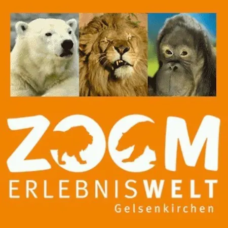 Gemuetliche Stilvolle 1 Raumwohnung Apartment Gelsenkirchen