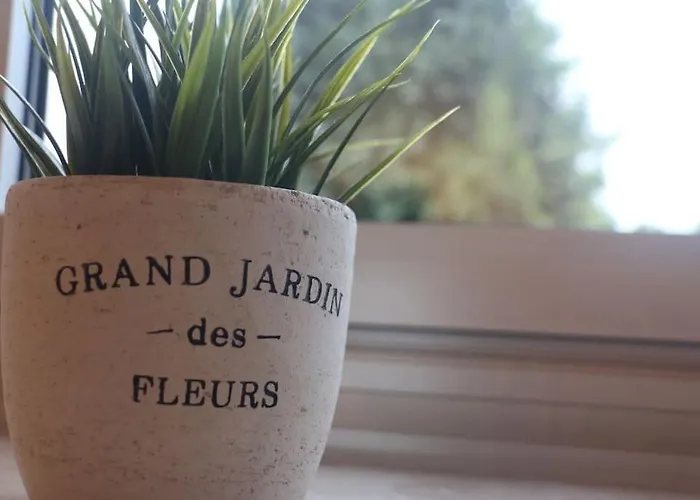 Lejlighed Gemuetliche Stilvolle 1 Raumwohnung Gelsenkirchen